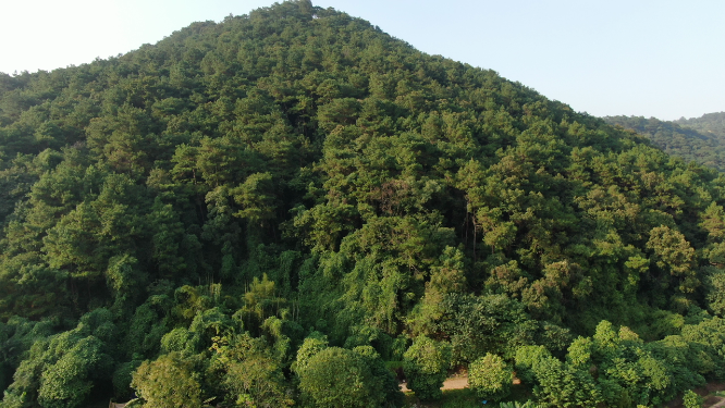 航拍广西南宁青秀山5A景区