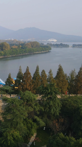 旅游景区南京玄武湖秋天竖屏