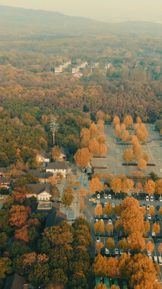 旅游景区南京钟山陵5A景区秋天