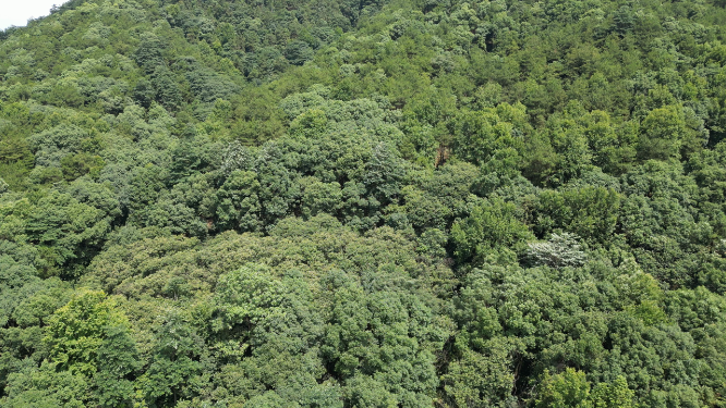 旅游景区常德市夹山国家森林公园4A景区碧岩湖航拍