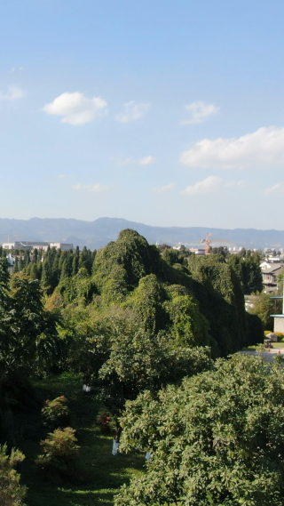 旅游景区云南昆明海埂花园航拍