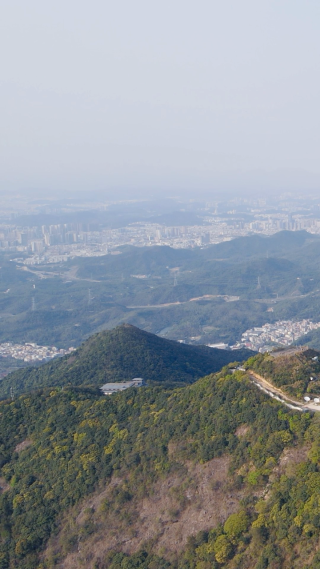 旅游景区深圳梧桐山竖屏航拍