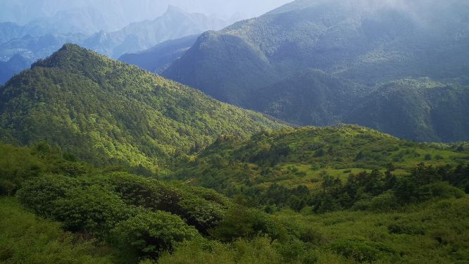 旅游景区湖北神农架5A景区天际岭云海