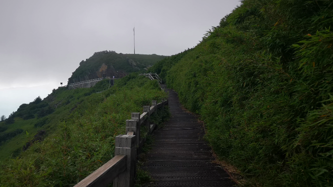 旅游景区湖北神农架5A景区观光步道