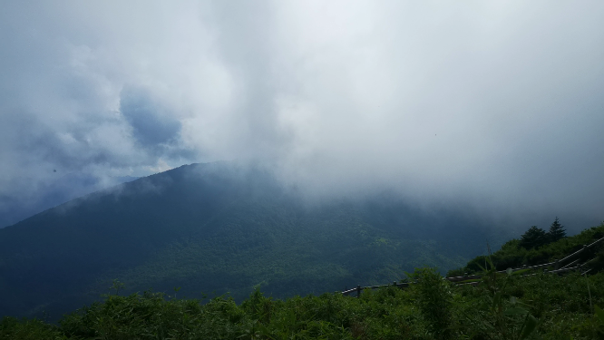 旅游景区湖北神农架5A景区农顶云海自然风景