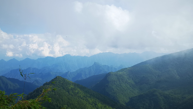 旅游景区湖北神农架5A景区农顶云海自然风景