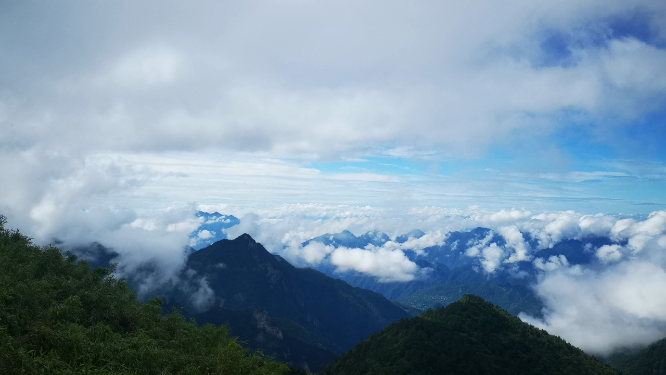 旅游景区湖北神农架5A景区农顶云海自然风景
