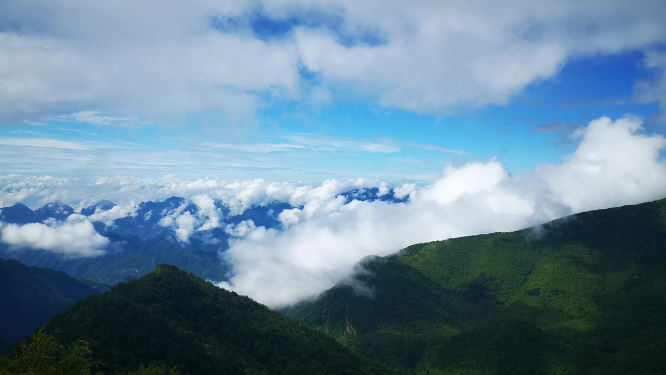 旅游景区湖北神农架5A景区农顶云海自然风景
