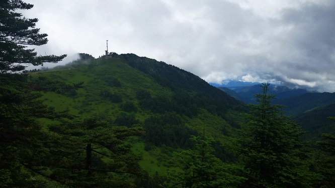 旅游景区湖北神农架5A景区农顶云海自然风景
