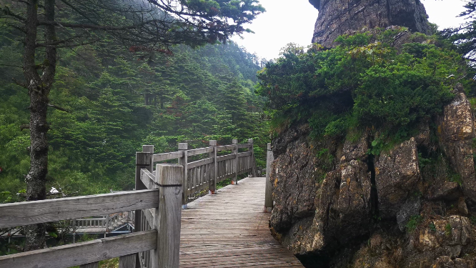 旅游景区湖北神农架神农谷观光步道 