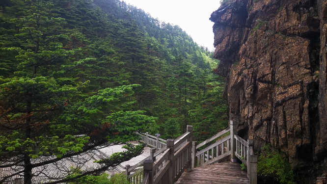 旅游景区湖北神农架神农谷观光步道 
