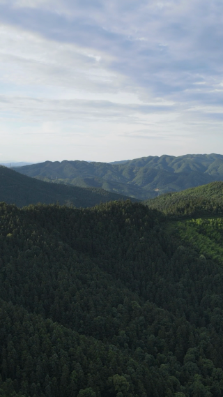 旅游景区湖南中坡山国家森林公园竖屏