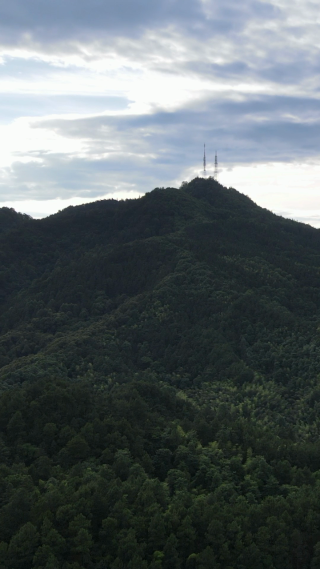 旅游景区湖南中坡山国家森林公园竖屏