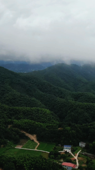 景区湖南大围山国家森林公园竖屏云雾航拍