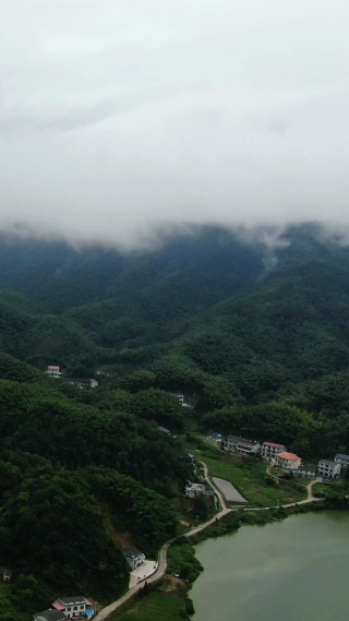 景区湖南大围山国家森林公园竖屏云雾航拍