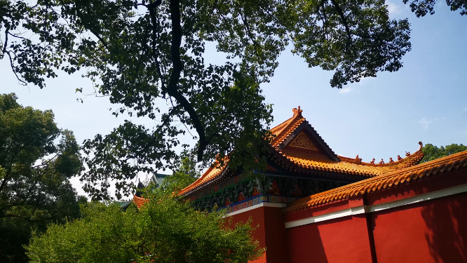 旅游景区湖南夹山国家森林公园4A景区