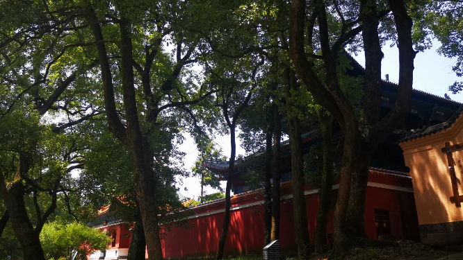 旅游景区湖南夹山国家森林公园4A景区