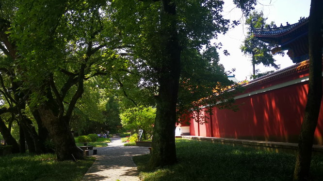 旅游景区湖南夹山国家森林公园4A景区