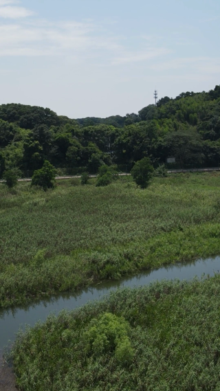 旅游景区湖南岳阳君山岛竖屏