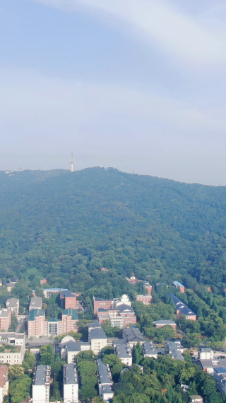 旅游景区湖南岳麓山风景区竖屏航拍