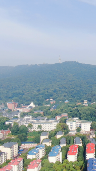 旅游景区湖南岳麓山风景区竖屏航拍