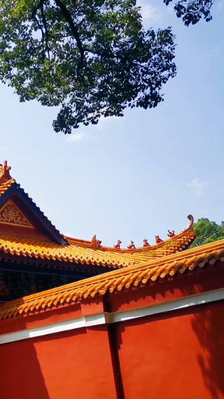 旅游景区湖南常德闯王陵竖屏