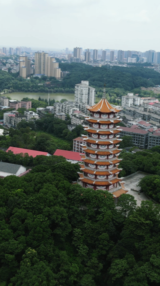 旅游景区湖南益阳会龙公园古塔竖屏航拍