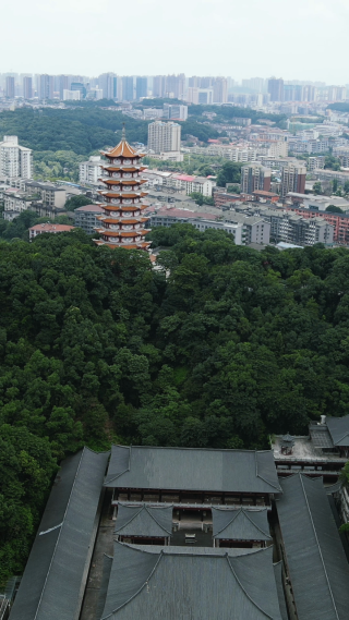 旅游景区湖南益阳会龙公园古塔竖屏航拍