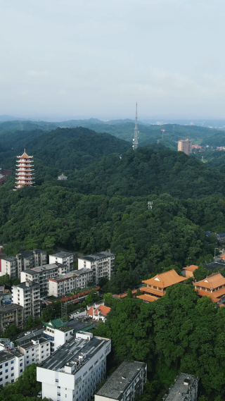 旅游景区湖南益阳白鹿寺古建筑竖屏航拍