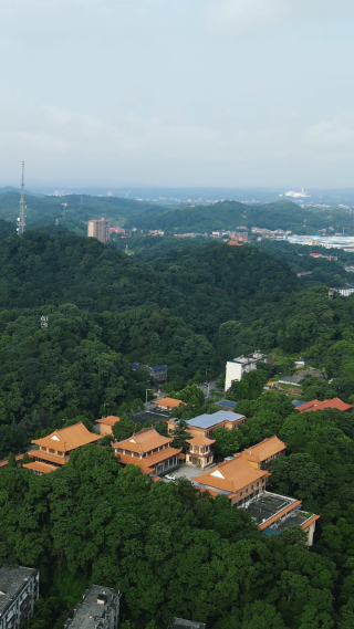 旅游景区湖南益阳白鹿寺古建筑竖屏航拍