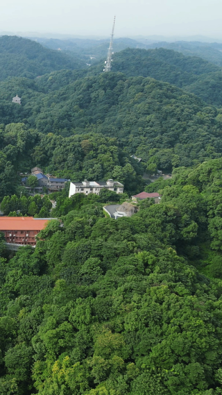 旅游景区湖南益阳白鹿寺古建筑竖屏航拍