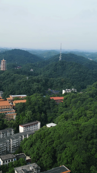 旅游景区湖南益阳白鹿寺古建筑竖屏航拍
