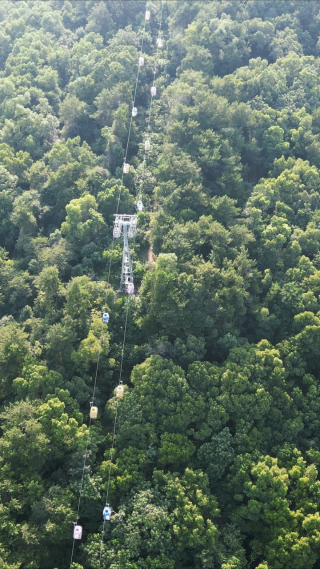 武汉东湖5A景区珞珈山竖屏航拍