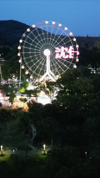 武汉东湖之眼摩天轮夜景竖屏航拍