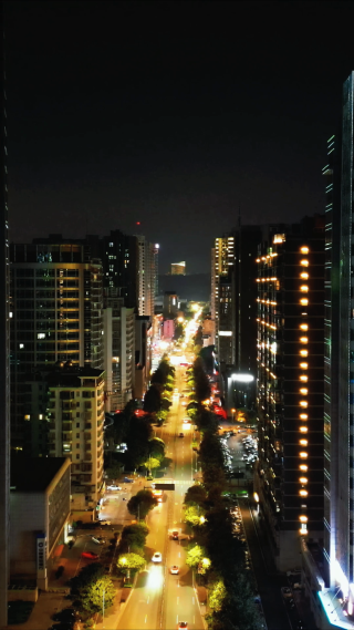湖北宜昌城市夜景灯光竖屏航拍