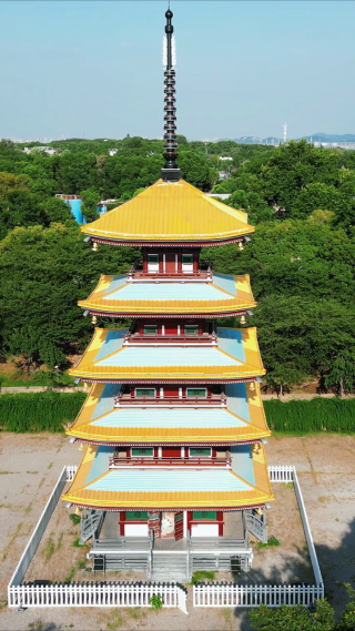 湖北武汉东湖5A景区五重塔竖屏航拍