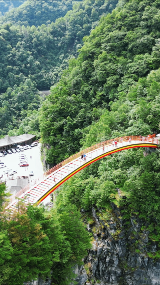 湖北神农架5A景区天燕景区彩虹桥竖屏航拍