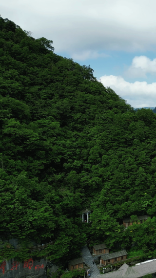 湖北神农架5A景区天燕景区彩虹桥竖屏航拍