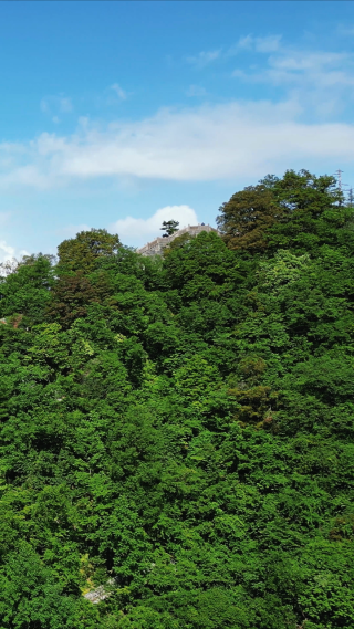 湖北神农架5A景区天燕景区彩虹桥竖屏航拍