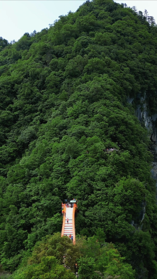 湖北神农架5A景区天燕景区彩虹桥竖屏航拍