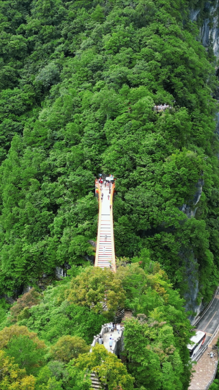 湖北神农架5A景区天燕景区彩虹桥竖屏航拍