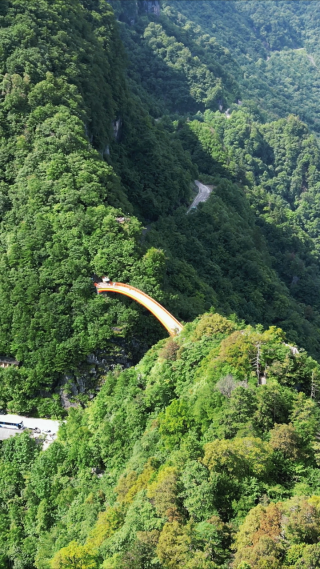 湖北神农架5A景区天燕景区彩虹桥竖屏航拍