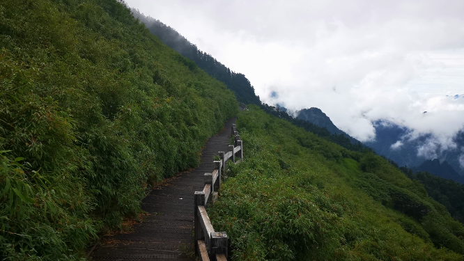 湖北神农架5A景区神农谷健身步道