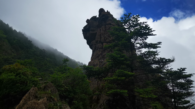 湖北神农架5A景区神农谷健身步道
