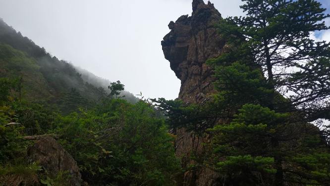 湖北神农架5A景区神农谷健身步道