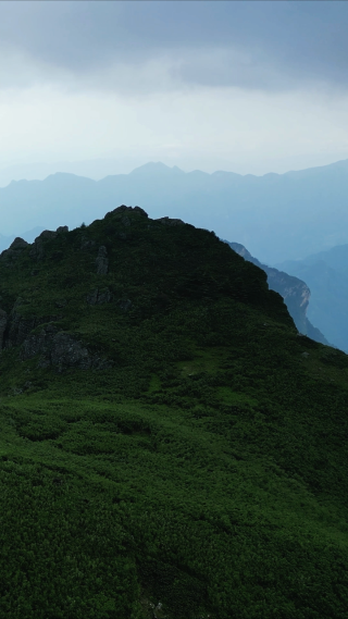 湖北神农架5A景区竖屏航拍 