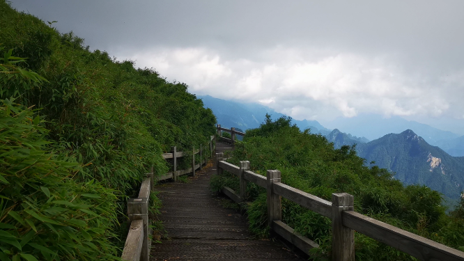 湖北神农架5A景区观光步道
