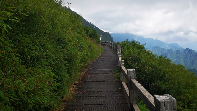 湖北神农架5A景区观光步道