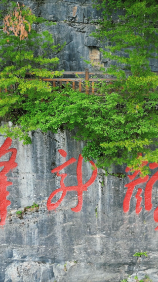 湖北神农架天燕景区竖屏航拍