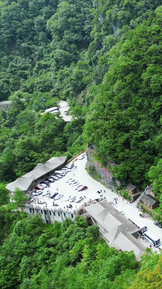 湖北神农架天燕景区竖屏航拍